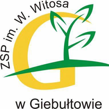 Zespół Szkół Ponadpodstawowych im. W. Witosa w Giebułtowie