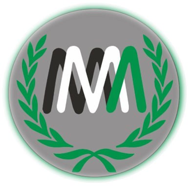 Маріупольський ліцей міста Києва